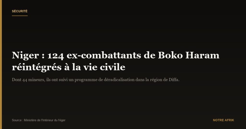 Niger : réintégration de 124 anciens membres de Boko Haram à la vie civile