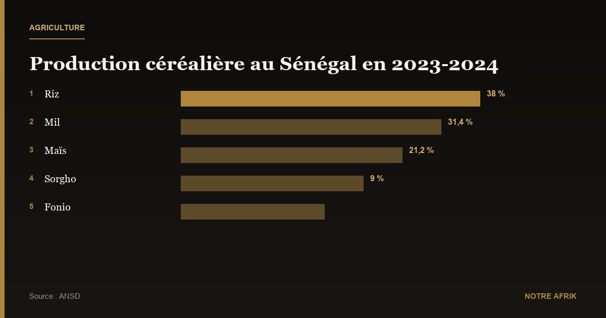 Sénégal : la production de céréales croît de près de 10 % entre 2023 et 2024