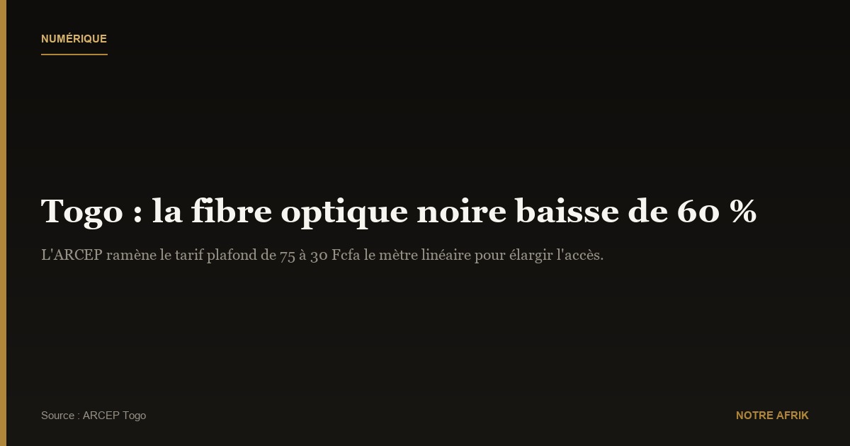 Togo : réduction de 60 % du tarif de la fibre optique noire