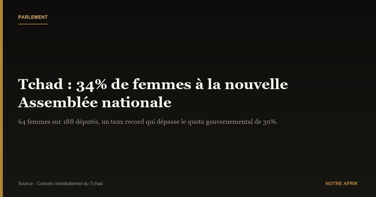 Tchad: la nouvelle Assemblée nationale compte 64 femmes