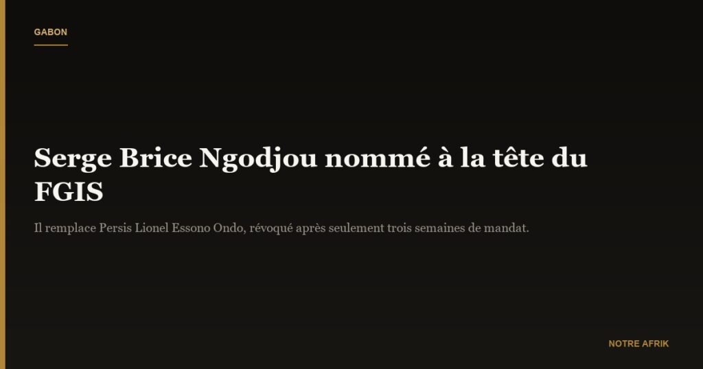 Gabon : Serge Brice Ngodjou prend les rênes du Fonds gabonais d'investissements stratégiques