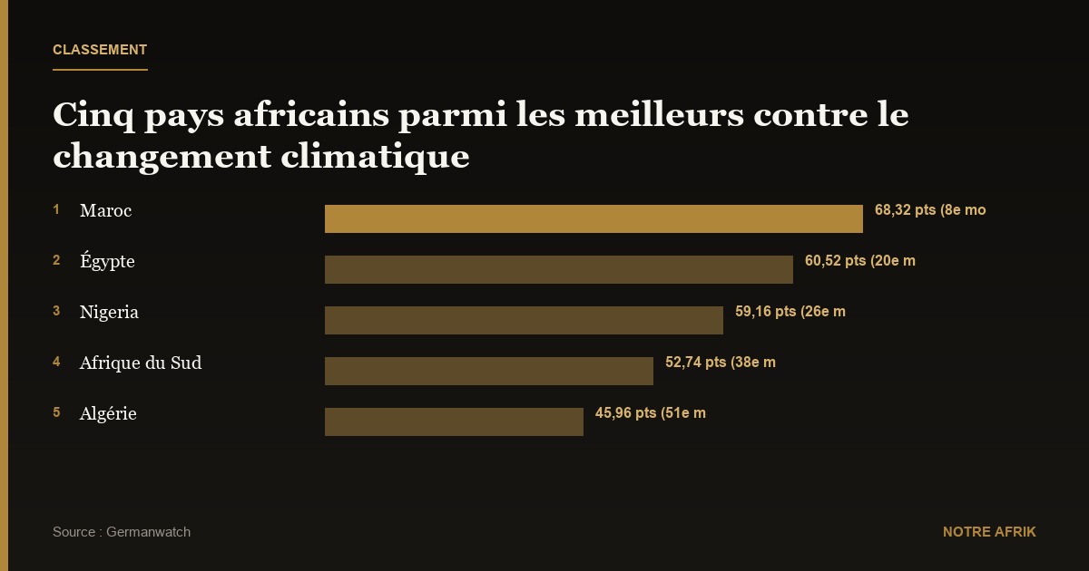 Classement : cinq pays africains parmi les meilleurs dans la lutte contre le changement climatique