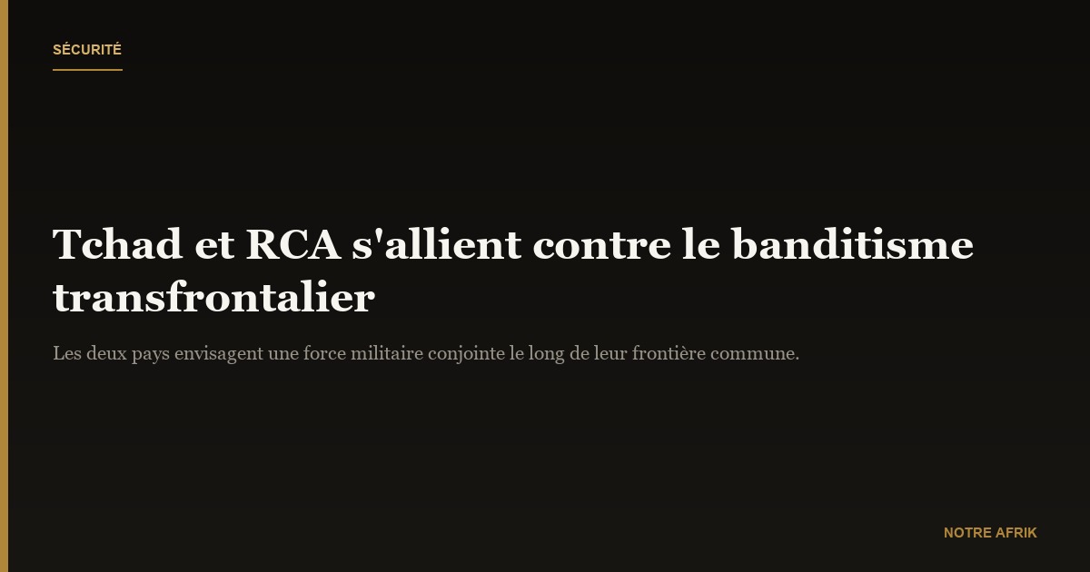 Banditisme transfrontalier : le Tchad et la RCA prévoient une force mixte