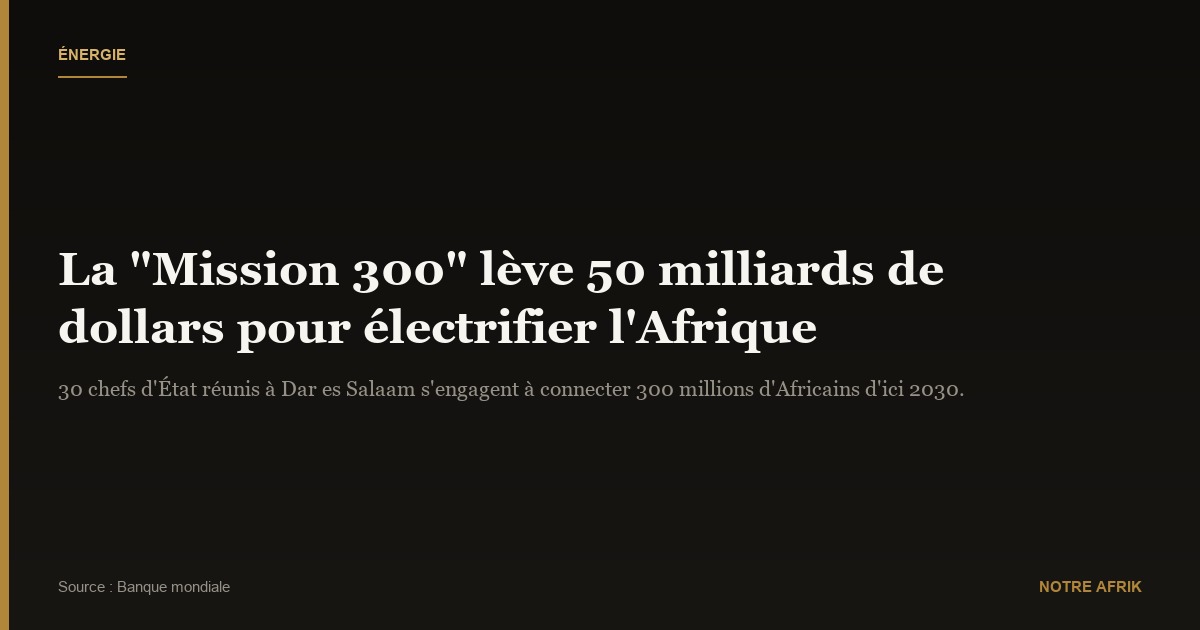Afrique : la "Mission 300" lève 50 milliards de dollars pour améliorer l'accès à l'énergie