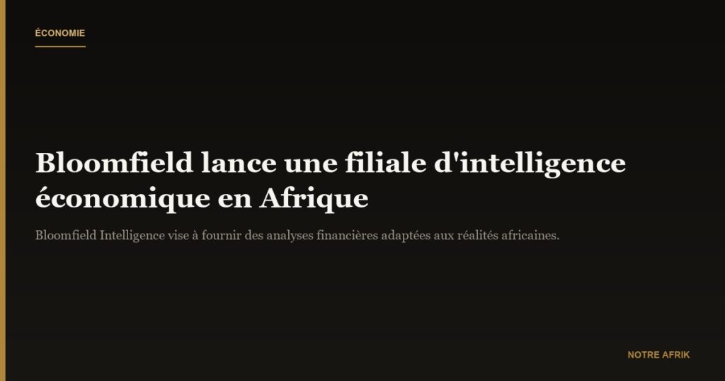 Afrique : Bloomfield crée une filiale d’intelligence économique pour des analyses adaptées