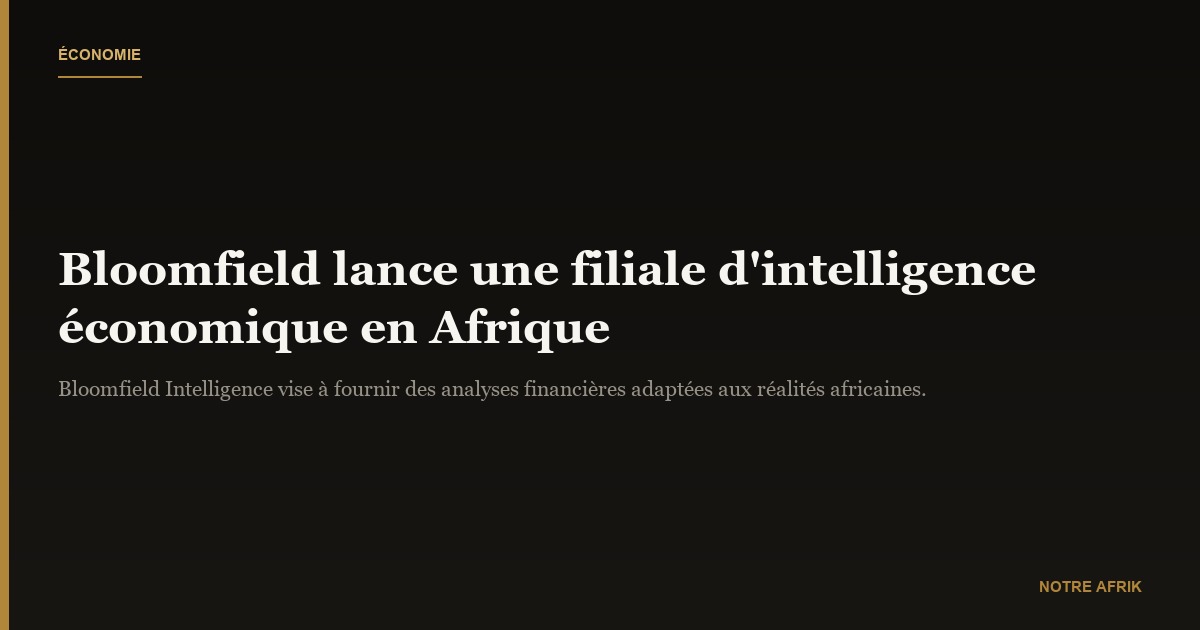 Afrique : Bloomfield crée une filiale d’intelligence économique pour des analyses adaptées