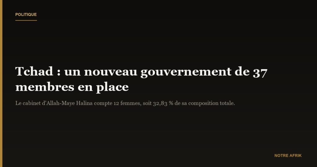 Tchad : un nouveau gouvernement en place