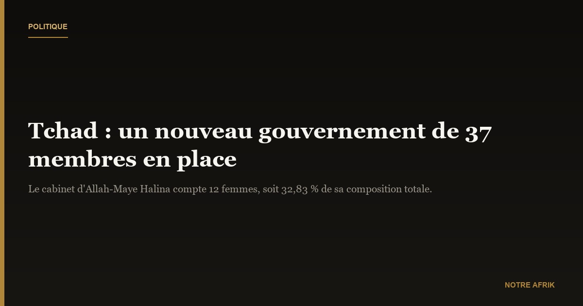Tchad : un nouveau gouvernement en place