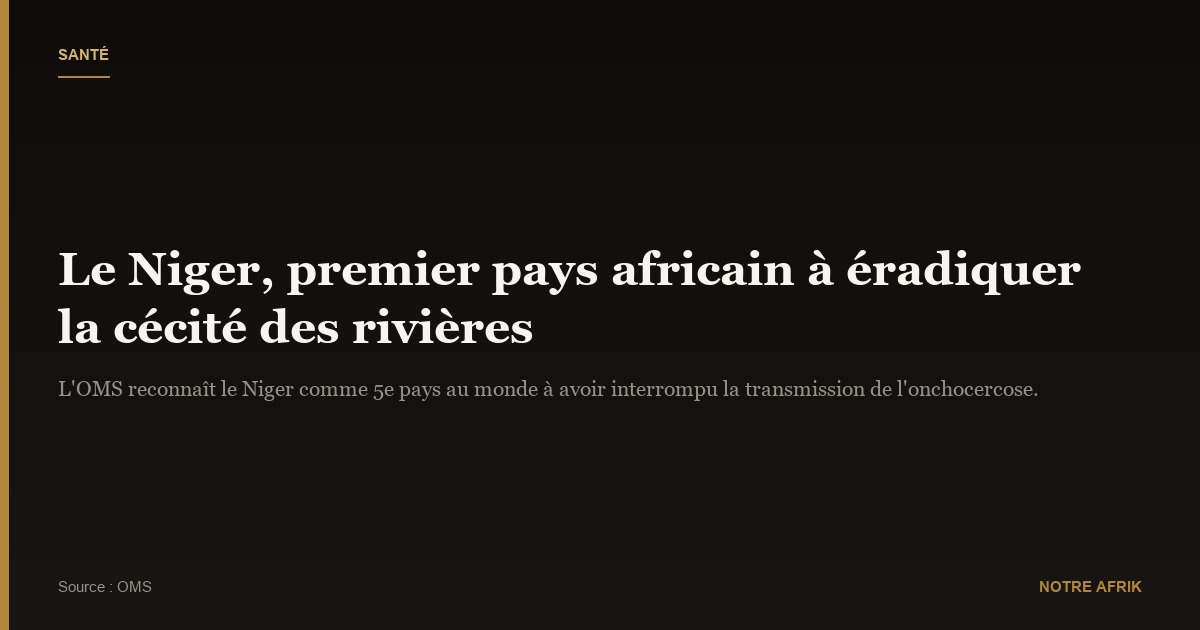 Santé : le Niger est le premier pays africain à avoir éradiqué la "cécité des rivières"
