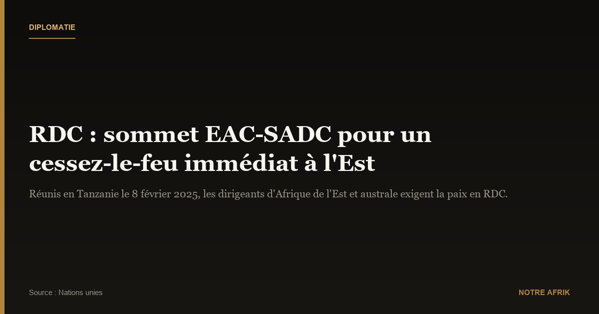 RDC : demande régionale d'un "cessez-le-feu immédiat"