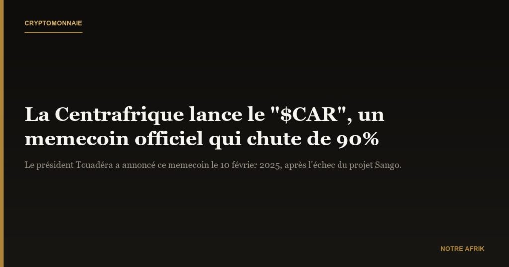 Économie : la Centrafrique introduit sa propre cryptomonnaie de type memecoin