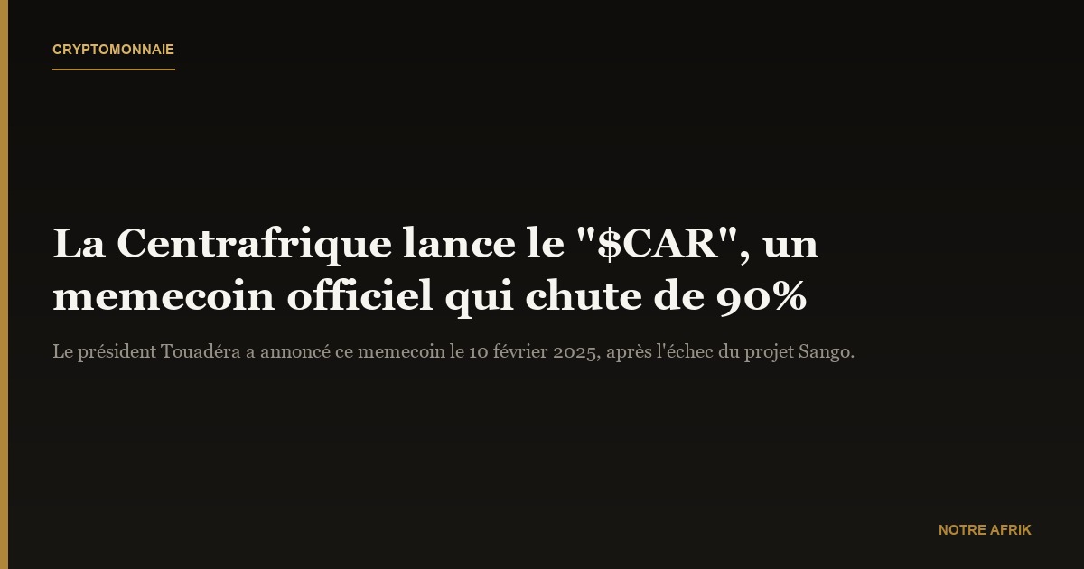 Économie : la Centrafrique introduit sa propre cryptomonnaie de type memecoin