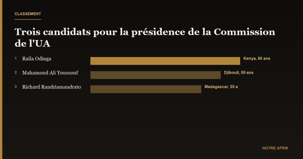 Union africaine : trois candidats en lice pour le poste de président de la Commission