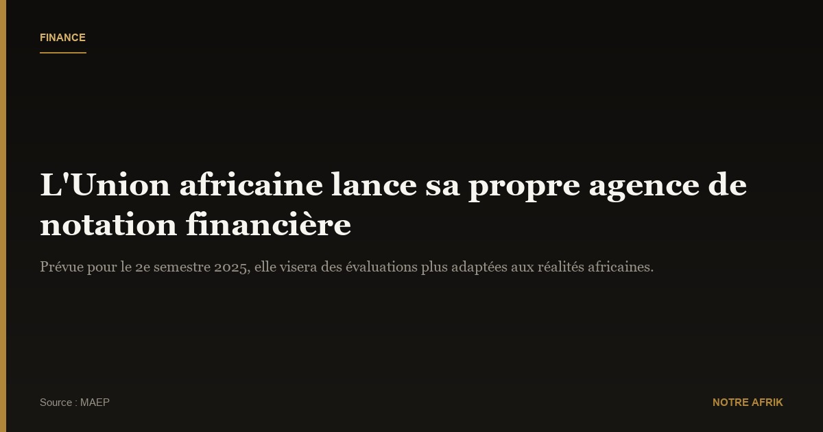 Finances : l'Union africaine prévoit de lancer son agence de notation