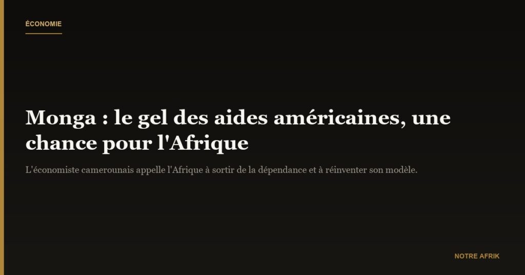 Célestin Monga : "le gel des financements américains pourrait être bénéfique pour l'Afrique"