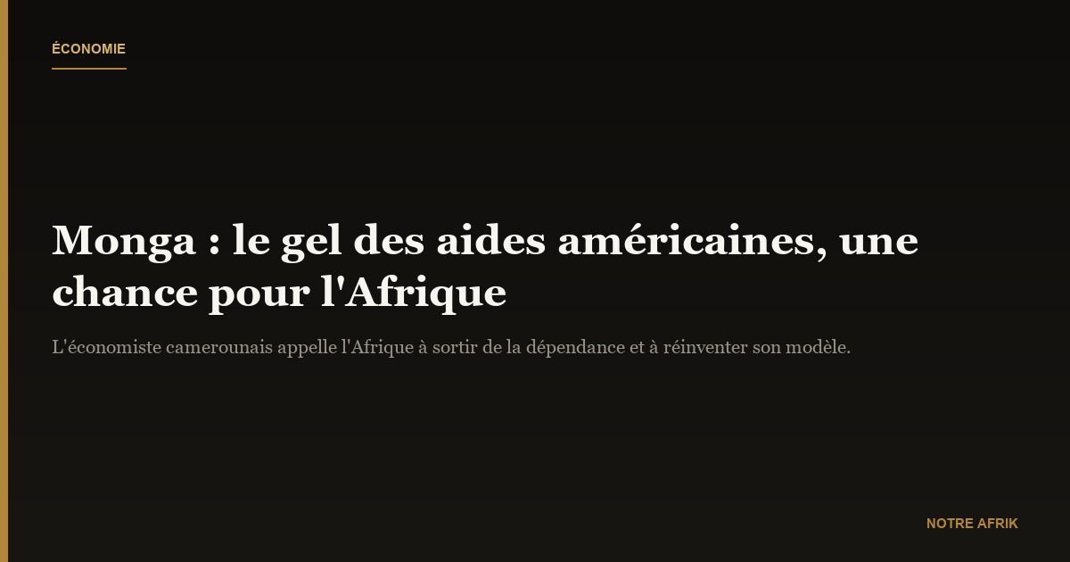 Célestin Monga : "le gel des financements américains pourrait être bénéfique pour l'Afrique"