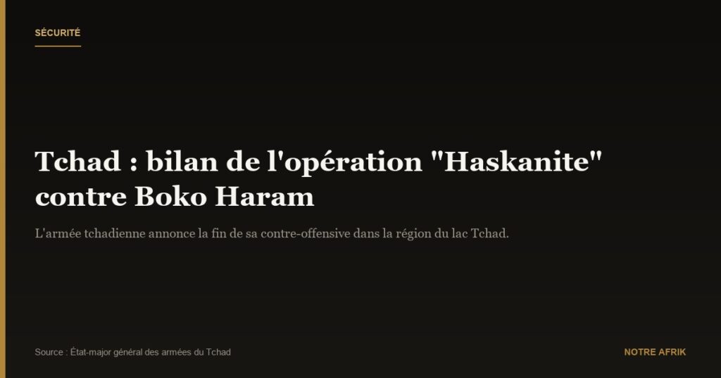 Tchad : fin d'une contre-offensive contre Boko Haram