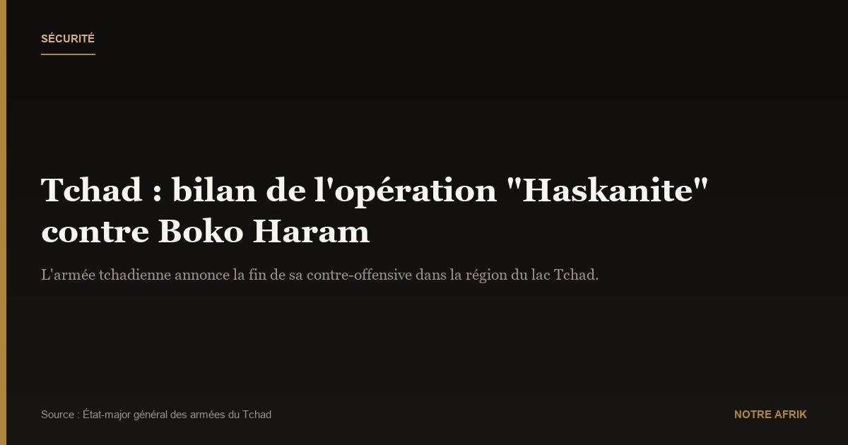 Tchad : fin d'une contre-offensive contre Boko Haram