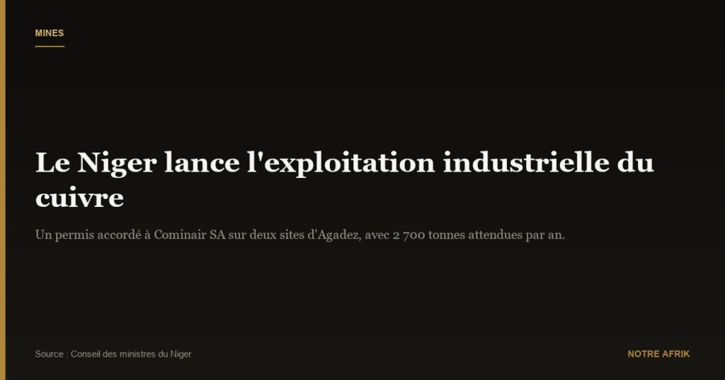 Production: le Niger souhaite débuter l'exploitation du cuivre