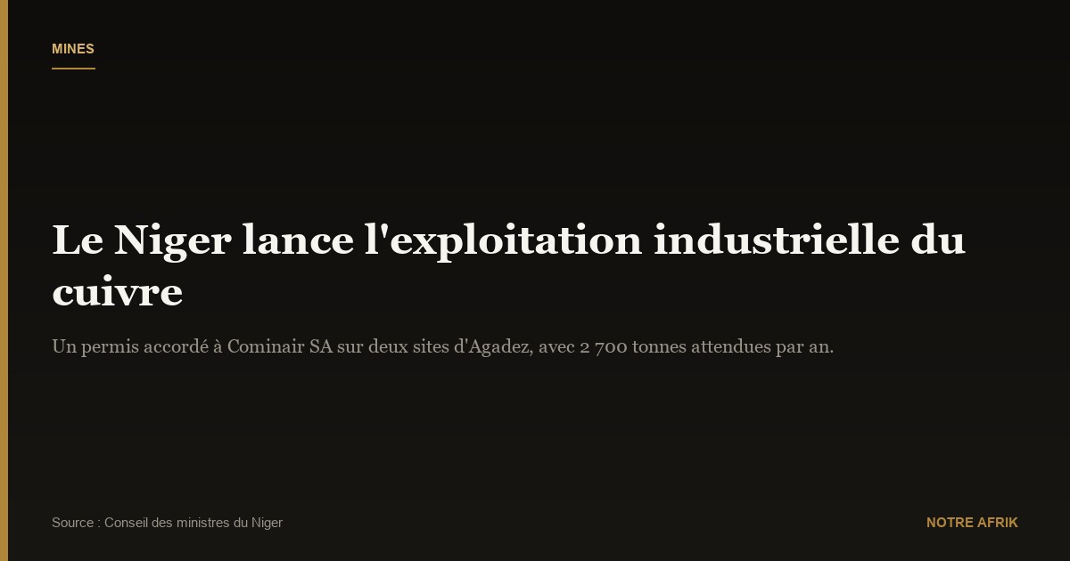 Production: le Niger souhaite débuter l'exploitation du cuivre