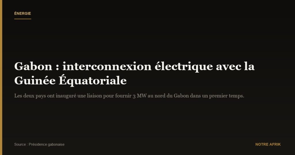 Partenariat : la Guinée Équatoriale s'engage à fournir de l'électricité au Gabon