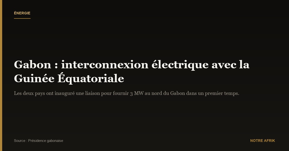 Partenariat : la Guinée Équatoriale s'engage à fournir de l'électricité au Gabon