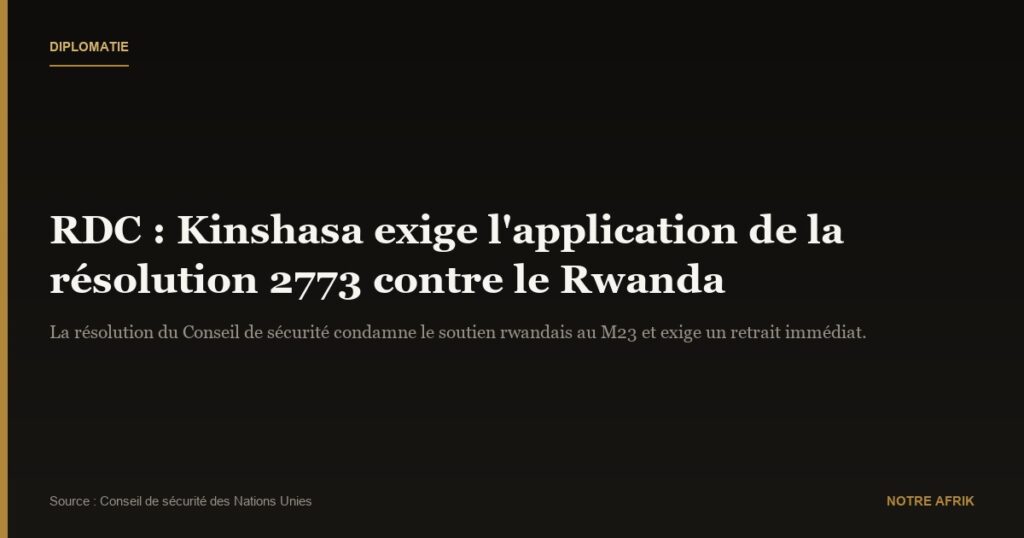 RDC : Kinshasa demande à la communauté internationale d'appliquer la décision de l'ONU condamnant le Rwanda