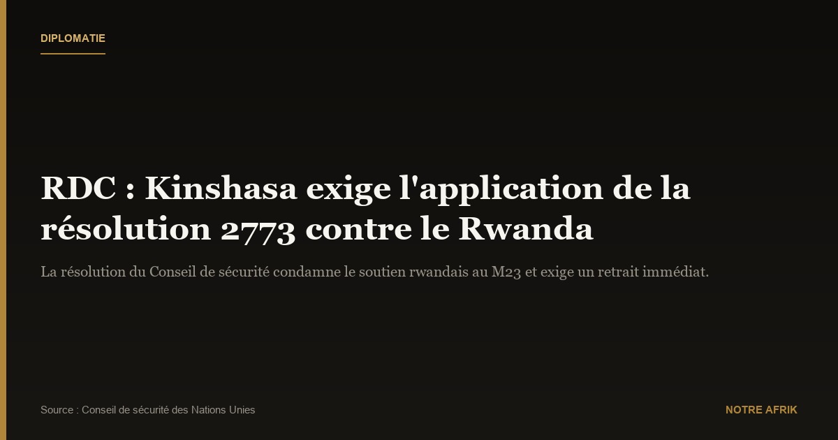 RDC : Kinshasa demande à la communauté internationale d'appliquer la décision de l'ONU condamnant le Rwanda