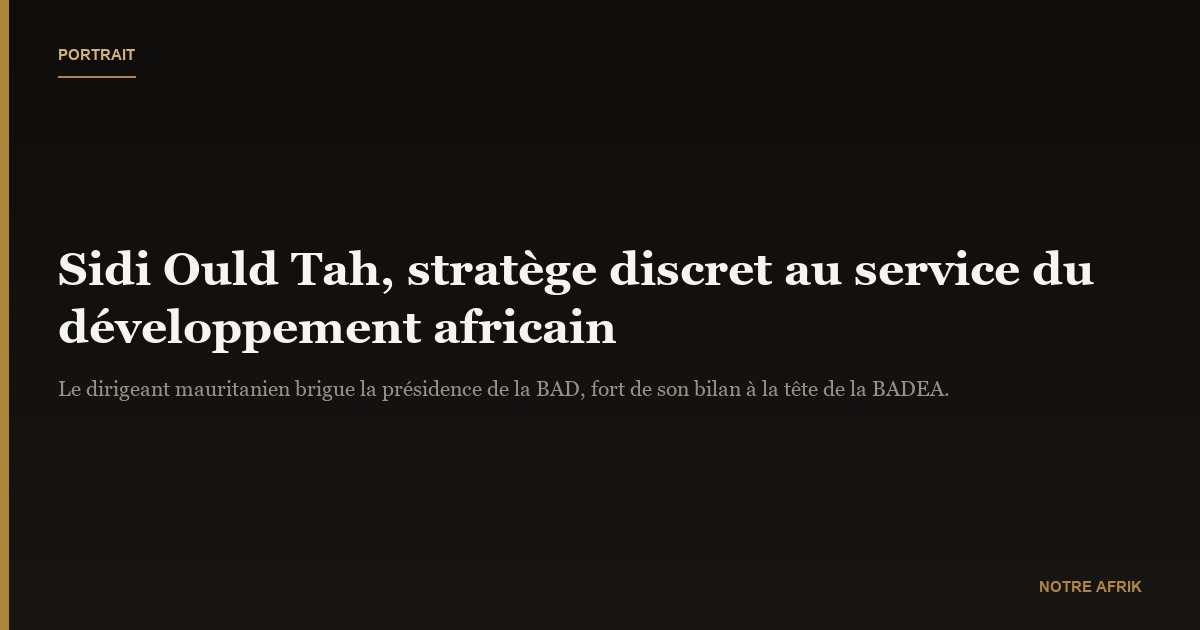 Sidi Ould Tah : un stratège du développement