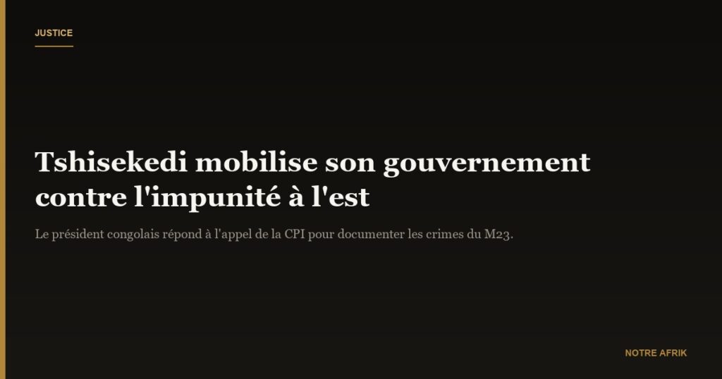 RD Congo : Félix Tshisekedi mobilise le gouvernement pour éviter l’impunité des crimes commis à l’est