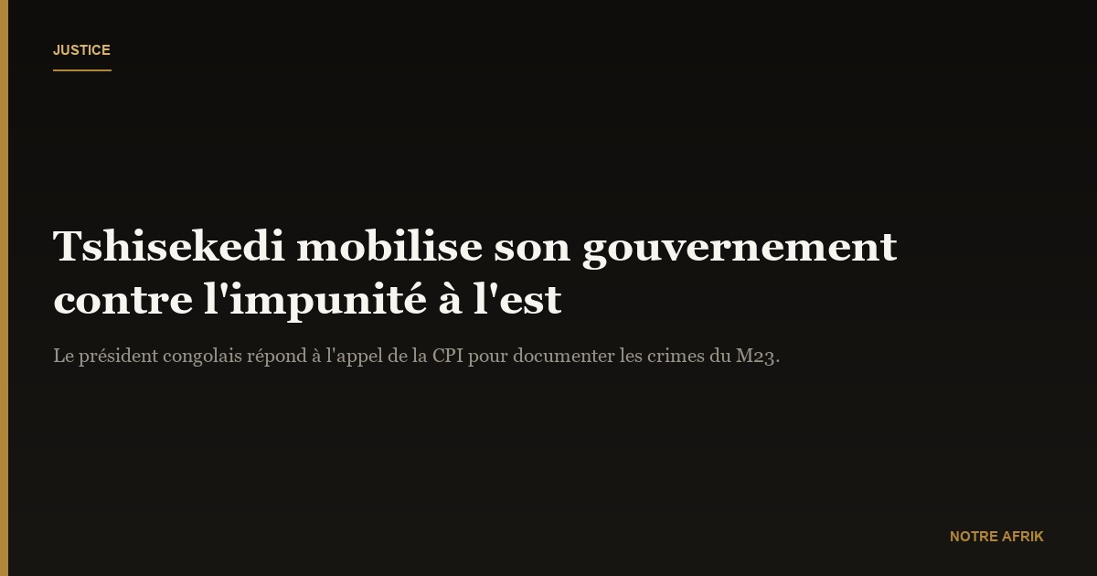 RD Congo : Félix Tshisekedi mobilise le gouvernement pour éviter l’impunité des crimes commis à l’est