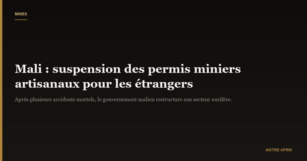 Mali : suspension de l'exploitation artisanale de l'or par les étrangers