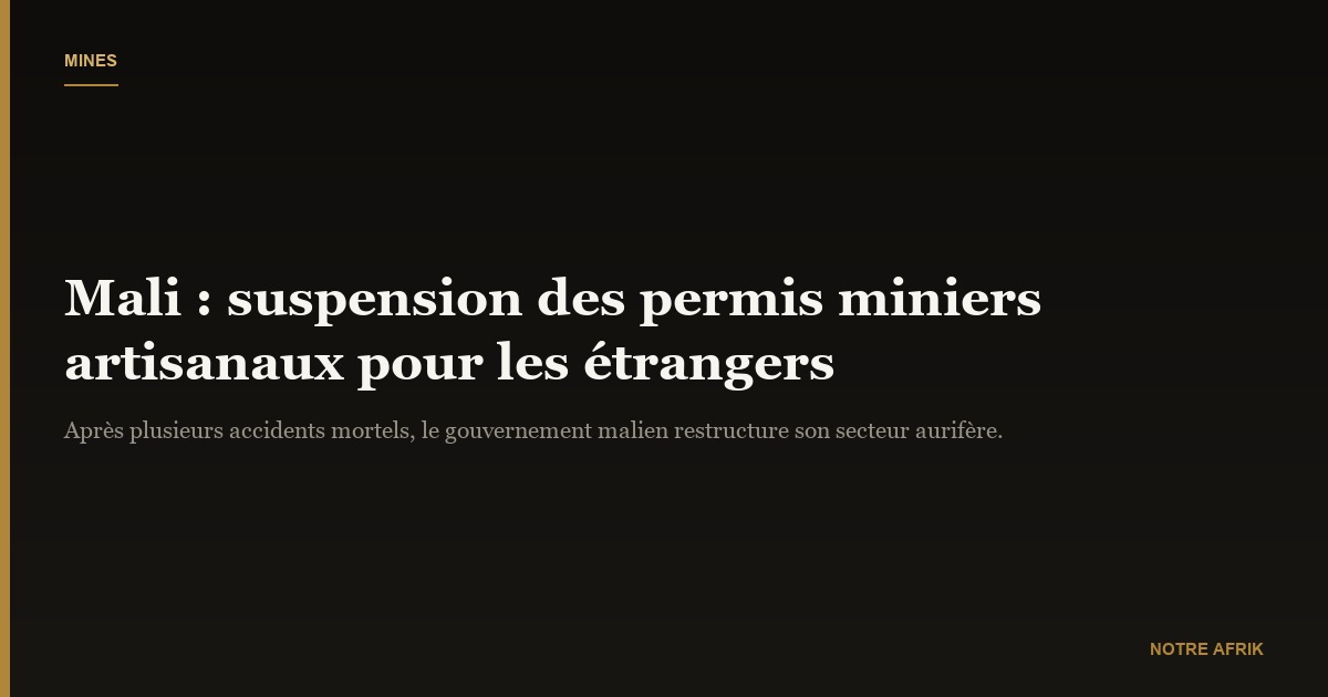 Mali : suspension de l'exploitation artisanale de l'or par les étrangers
