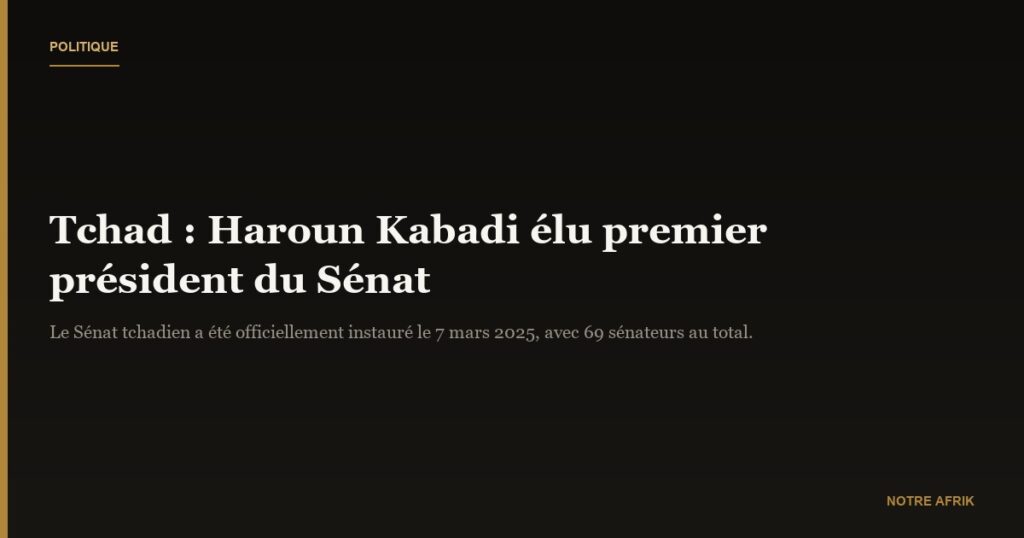 Tchad : Haroun Kabadi élu premier président du Sénat