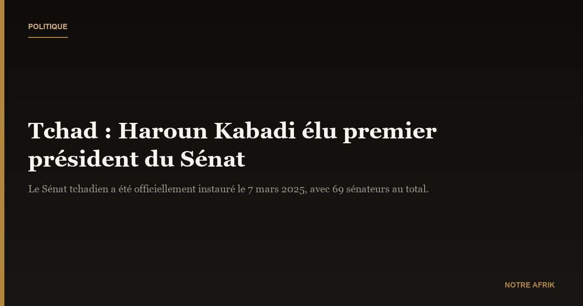 Tchad : Haroun Kabadi élu premier président du Sénat