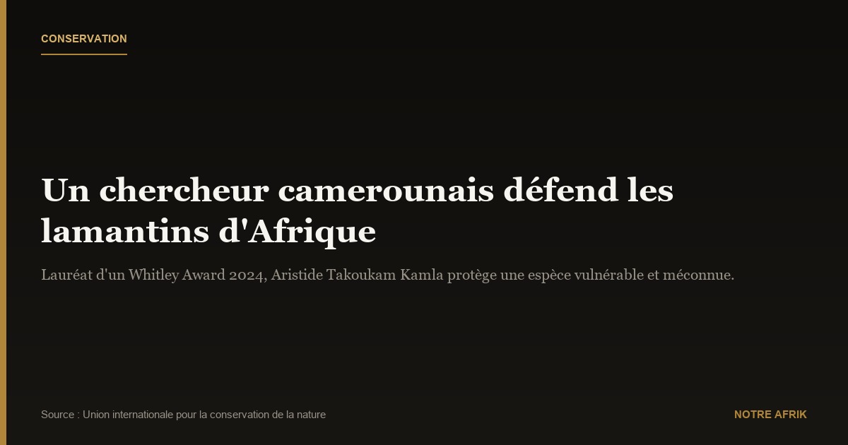 Environnement : le combat d'un chercheur camerounais pour les lamantins d'Afrique
