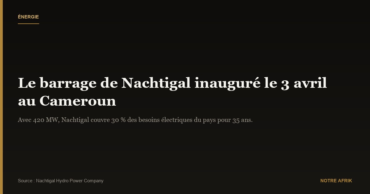 Cameroun : Le barrage de Nachtigal sera inauguré le 3 avril