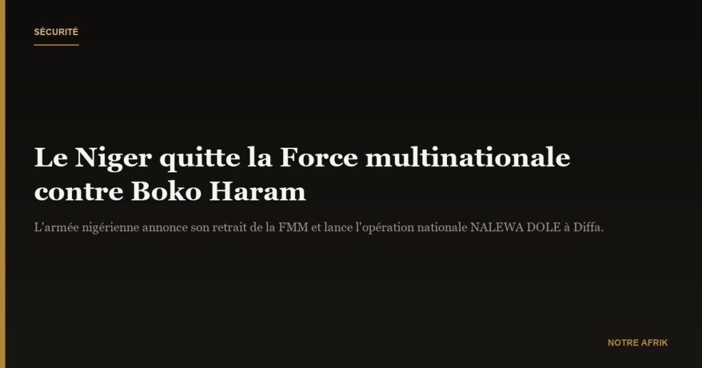 Niger : l’armée annonce son retrait de la Force multinationale de lutte contre Boko Haram