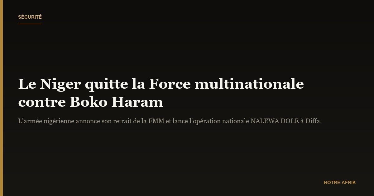 Niger : l’armée annonce son retrait de la Force multinationale de lutte contre Boko Haram
