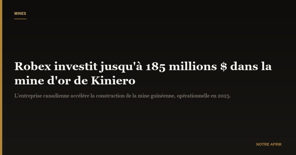 Guinée : Robex prévoit un investissement de 185 millions $ dans la mine d'or de Kiniero