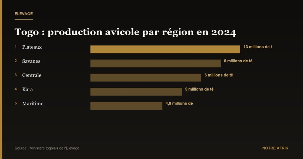 Togo : 38 millions de volailles produites en 2024