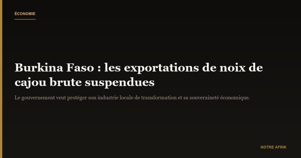 Burkina Faso : suspension des exportations de noix de cajou brute