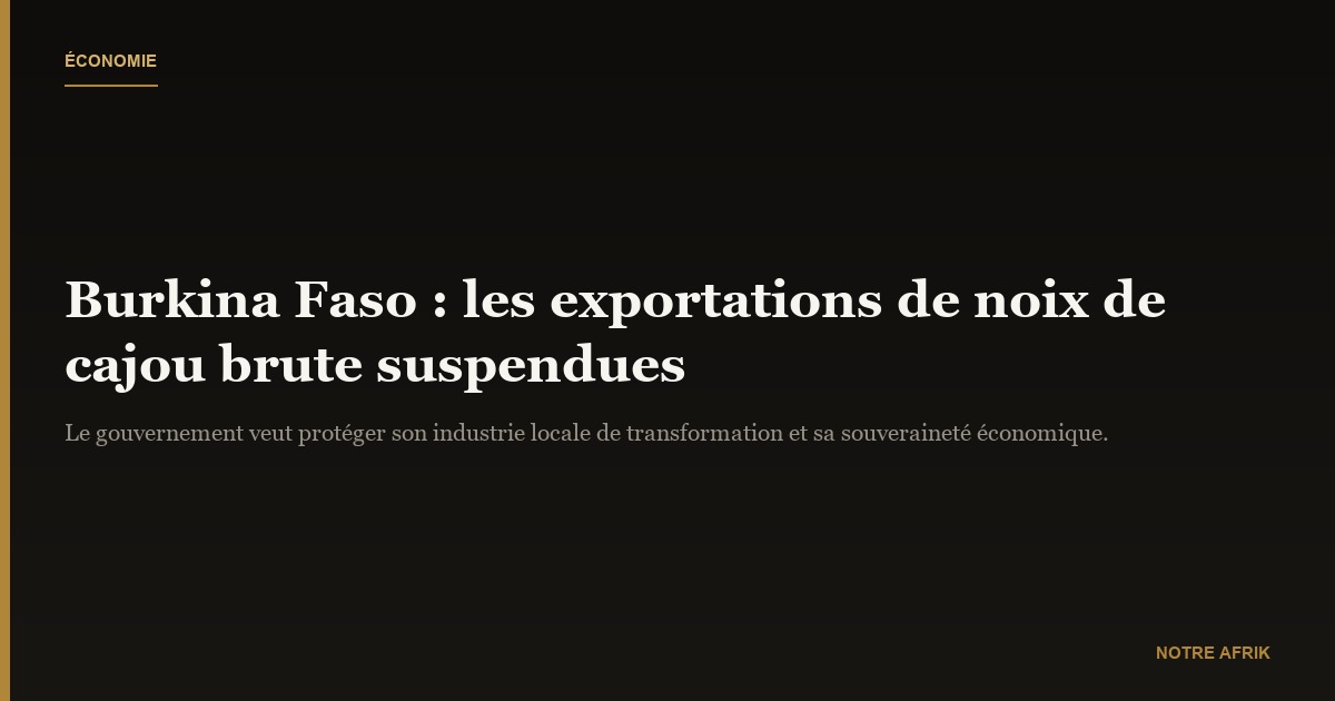 Burkina Faso : suspension des exportations de noix de cajou brute