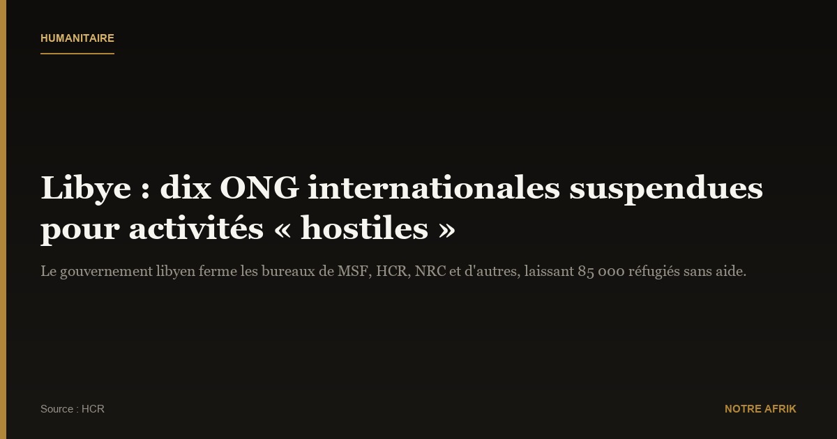 Libye : suspension de dix ONG internationales pour activités « hostiles »