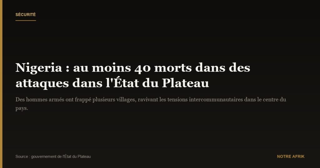 Nigeria : nouvelle attaque meurtrière dans l’État du Plateau