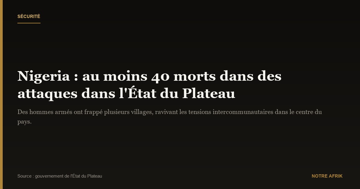 Nigeria : nouvelle attaque meurtrière dans l’État du Plateau
