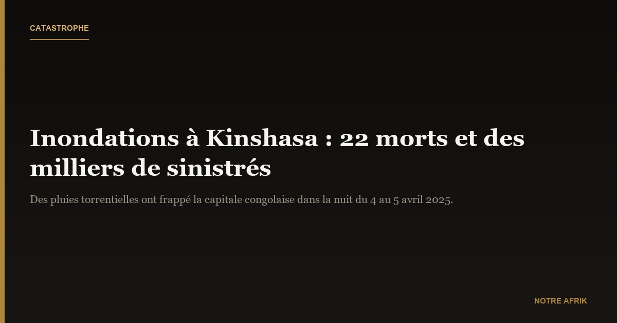 RDC : 22 morts et des milliers de déplacés après des pluies torrentielles