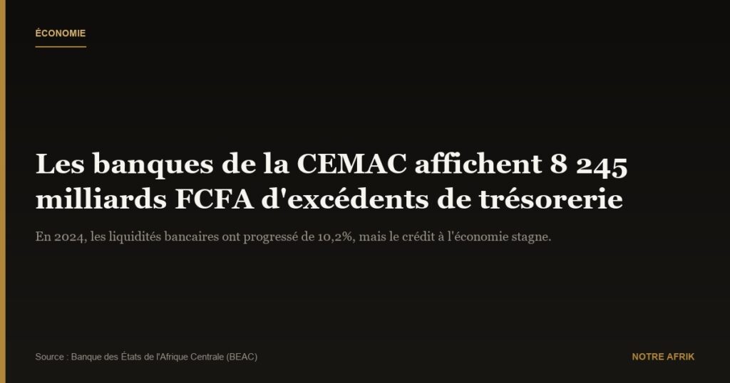 CEMAC : forte progression des excédents de trésorerie bancaire, à 8 245 milliards FCFA en 2024