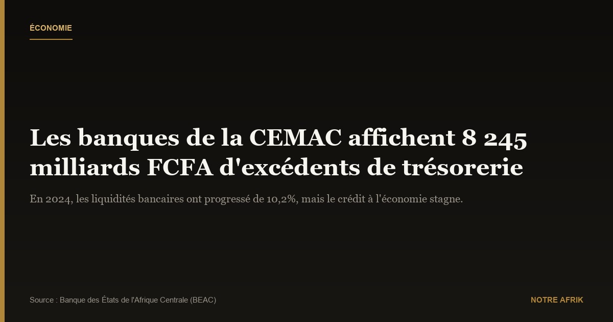 CEMAC : forte progression des excédents de trésorerie bancaire, à 8 245 milliards FCFA en 2024
