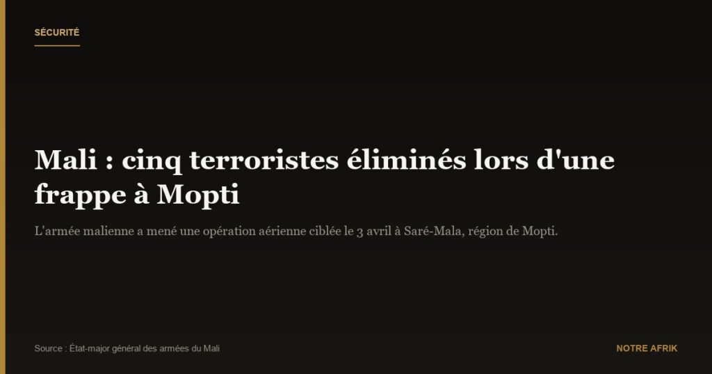 Mali : cinq leaders terroristes éliminés par l'armée lors d'une opération à Mopti